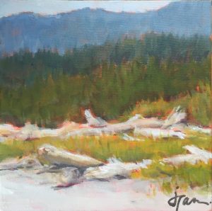 Grassy beach (Thormanby)